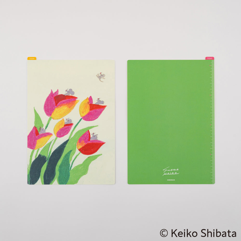 2025 Keiko Shibata: Hobonichi Pencil Board