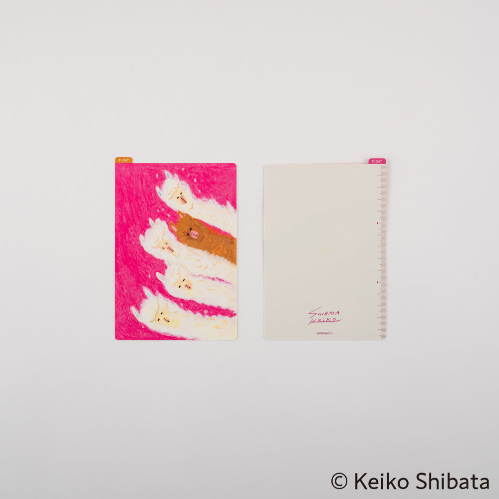 2025 Keiko Shibata: Hobonichi Pencil Board