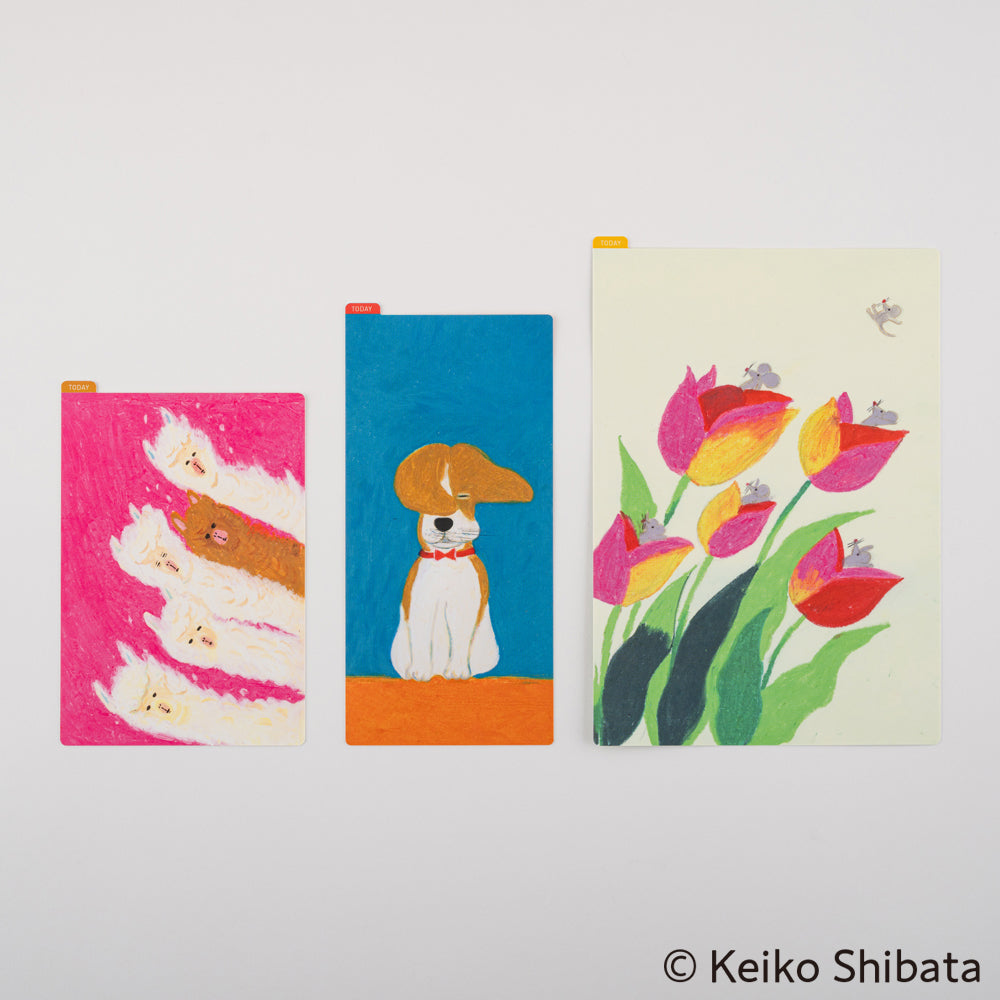 2025 Keiko Shibata: Hobonichi Pencil Board