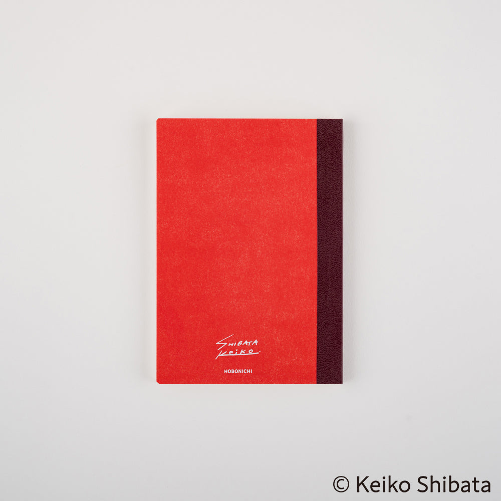 Keiko Shibata: Hobonichi Graph Notebook A6 - Who is it?