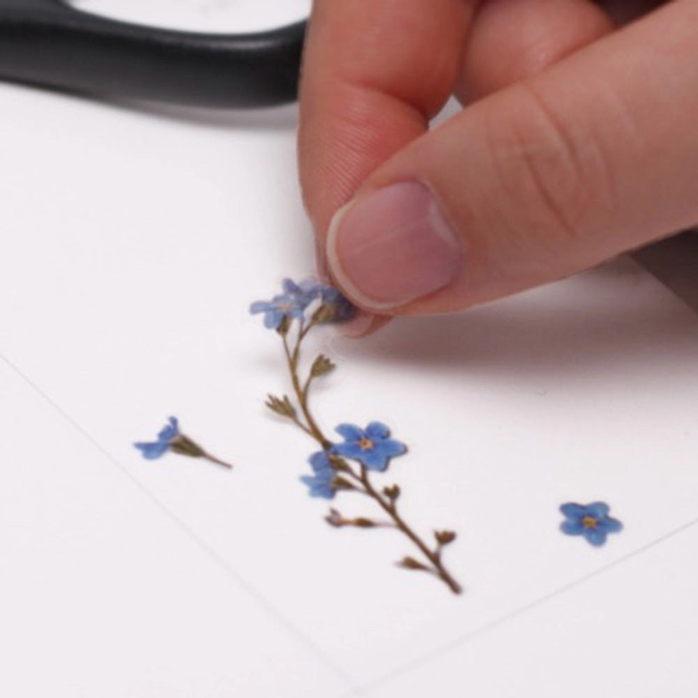 The Forget Me Not Flower Sticker