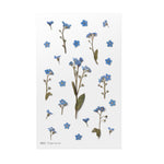 Pressed Flower Transparent Sticker - Larkspur