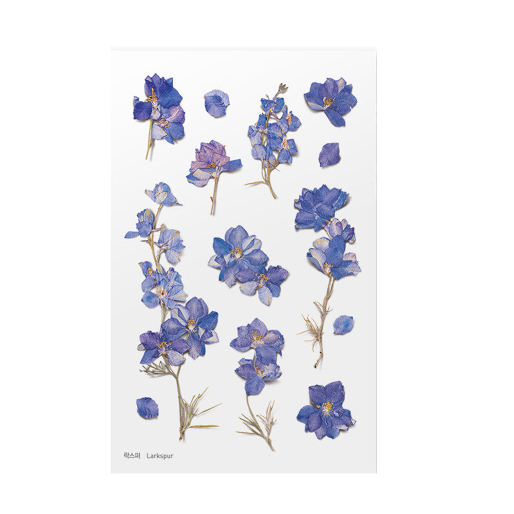 Appree | Pressed Flower Sticker Sheet: Rapeseed Flower